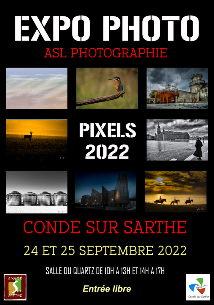 Exposition photo 2022
Pixels
affiche